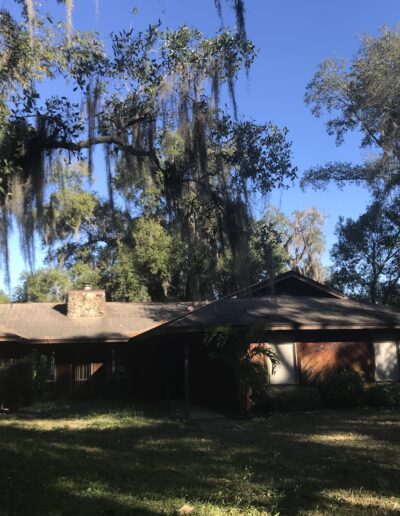 A single-story house obscured by shadows with spanish moss hanging from trees in the yard.